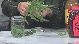 Eating the Ozarks Oxymel Tulsi [upl. by Blatt682]