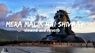 mera malik hai shivaay lofi song slowed reverb lofi [upl. by Jerrold867]