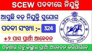 SCEW Odisha govt job full details 2024 [upl. by Ahtnamas847]