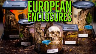 Tarantula Room Enclosure REVIEW  European Spider Enclosures [upl. by Earazed]