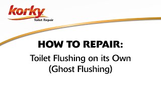 How to Fix Toilet Flushing on its Own  Ghost Flushing [upl. by Paapanen]