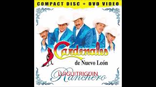 Los Cardenales De Nuevo Leon Mix De Sus Mejores Canciones Vol 2 [upl. by Gibrian834]