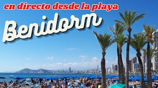 BENIDORM EN VIVO 🇪🇸 CÁMARA 2 🇪🇸 Transmisión el 20 de noviembre de 2024 1 [upl. by Harwin897]