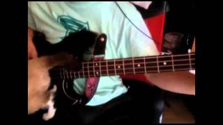 THE STOOGES  NO FUN BASS COVER [upl. by Esteban]