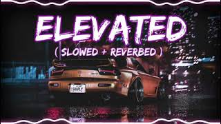 Shubh  Elevated Official Music Video [upl. by Greenburg62]