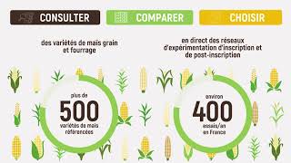 Vous êtes semencier  Découvrez Varmaïs  ARVALISinfosfr [upl. by Ielerol]