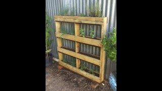 How to upcycle an old pallet to make a vertical herb garden or strawberry planter [upl. by Harbour889]