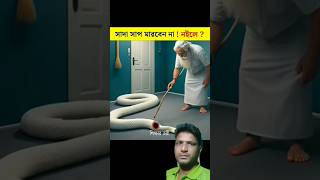 সাদা সাপ মারবেন না allah amazingfacts snake animals sunnah interestingfacts islamicreminder [upl. by Ayotaj]