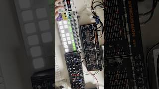 Messing with Behringer Syncussion SY1 synth synthesizer electronicmusic beatmaking [upl. by Llennaj]