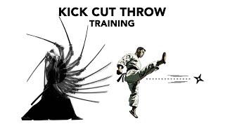 kick cut throw training battojutsu karate shurikenjutsu martialarts ninja samurai [upl. by Anselmi]