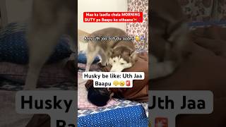 My husky’s morning routine Uth jaa Pawpa🤦‍♂️🤣🚨 funnyhusky dogdad doglovers [upl. by Bashemath]