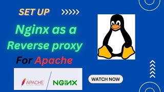 Setup Nginx as a Reverse proxy for Apache  Nginx  Apache  Linux  RHEL 9 [upl. by Nyrol174]