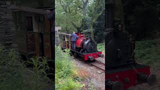 Talyllyn Railway Photo Charter Special With Corris Railway NO 10 Visiting [upl. by Bunow]