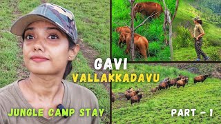 Gavi  Vallakadavu കാട്ടാനകൾ ഉള്ള കുന്നിലൂടെ ഒരു കിടിലൻ ട്രെക്കിങ്ങ്  Part 1  Thekkadytravel [upl. by Beard]