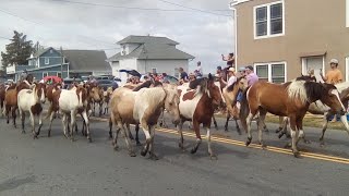 Chincoteague Island Pony Swim and Parade 🐎 [upl. by Acemaj]