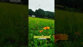 Beauty of Uthralikkavu  Nature  travel youtubeshorts [upl. by Yrrehc]