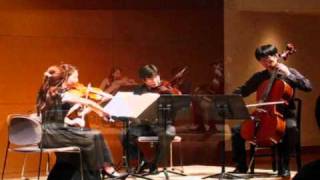 Boccherini String Quartet DDur Op81 G165 [upl. by Wawro38]