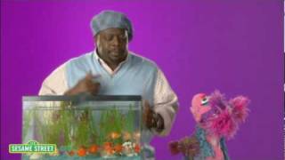 Sesame Street Cedric the Entertainer Canteen [upl. by Nirrep]