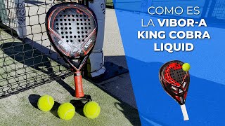 👉REVIEW · Como es la pala VIBORA KING COBRA 🎾  Padelartecom [upl. by Akir]