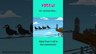 Vogel total elektrisiert von neuen Kollegen familyguythequestforstuff fyp familyguybirdistheword [upl. by Sivram]