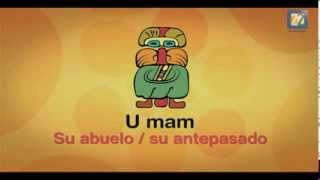 ¿Qué dicen los Mayas U mam  su abuelo su antepasado [upl. by Eleira]