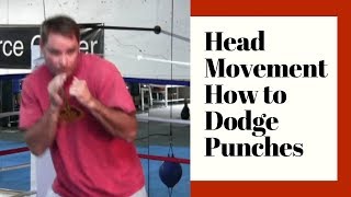 Head Movement  How to Dodge Punches in Boxing [upl. by Dorahs]