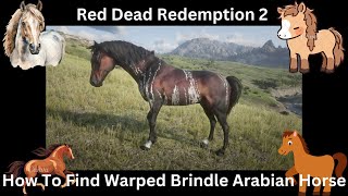 Red Dead Redemption 2 How To Find Warped Brindle Arabian Horse [upl. by Noswal78]