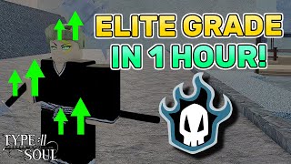 How To Get Elite Grade In 1 Hour Soul Reaper  All Spirit Requests  Type Soul Guide [upl. by Alahc]