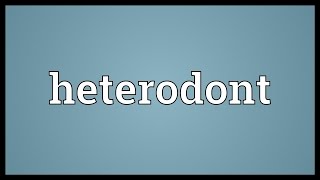 Heterodont Meaning [upl. by Aiekram]