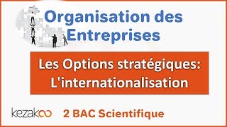 Organisation des Entreprises 2 BAC  Les Options Stratégiques lintégration [upl. by Caruso]