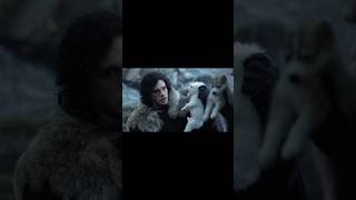 Finding The Dire wolves shorts gameofthrones [upl. by Jerrilyn46]