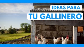 Las 26 MEJORES IDEAS para HACER GALLINEROS  TIPS CASEROS [upl. by Nikolai]