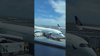 Auckland airport singapore flights followers shortzazort [upl. by Mraz882]