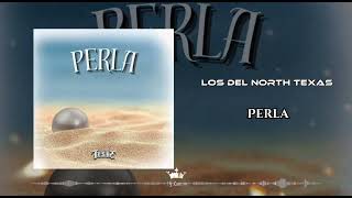 Los Del North Texas  Perla 2024 [upl. by Neelsaj]