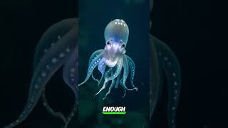 Top 5 Strangest Mysteries of Deep Sea Creatures  Deep Sea Creatures [upl. by Takakura]