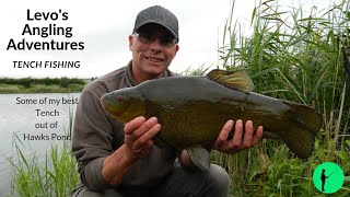 Tench Fishing  on Hawks Pond  Hull amp District Angling Association [upl. by Lejeune]