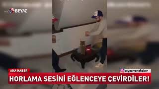 HORLAMA SESİNİ EĞLENCEYE ÇEVİRDİLER [upl. by Glanville631]