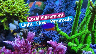 Coral Placement Lighting flow Spacing Peninsula [upl. by Cardie]