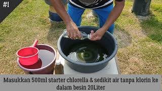 Chlorella Culture Step Tutorial [upl. by Edita]