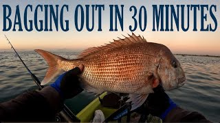 SNAPPER FISHING FRENZY IN PORT PHILLIP BAY [upl. by Lateehs]