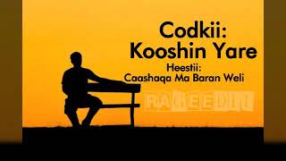 Kooshin Yare  Caashaqa Ma Baran Weli Lyrics [upl. by Mik]