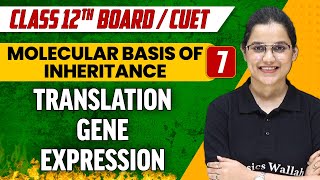 Molecular Basis of Inheritance 07  Translation Gene Expression  Class 12thCUET [upl. by Melosa]