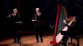 Harpe romantique – concert by Emmanuel Ceysson Frédéric Chatoux Marc Desmons [upl. by Kurr]