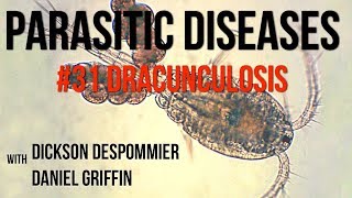 Parasitic Diseases Lectures 31 Dracunculosis [upl. by Nylear279]