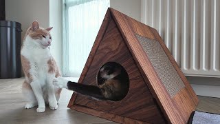 A Cat Scratcher Or Playhouse Or Maybe Both [upl. by Bakki978]