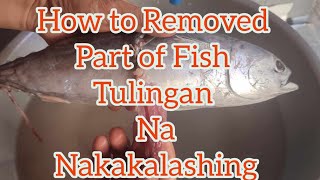 How To Removed Part of Fish Tulingan Poisonous [upl. by Ennayllek]