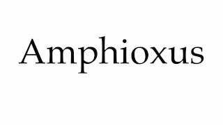 How to Pronounce Amphioxus [upl. by Aicilev]