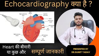 Echocardiography क्या है That Heart Test Can Save Your Life [upl. by Nels]