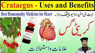 Crataegus q schwabe  crataegus q uses  crataegus q  Heart Failure homeopathic Medicine [upl. by Abagael36]