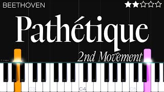 Beethoven  Pathetique Sonata 2nd Movement  EASY Piano Tutorial [upl. by Eissirk450]